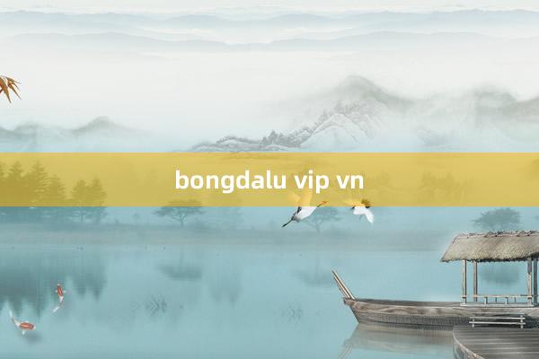 bongdalu vip vn