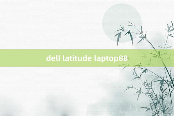 dell latitude laptop88