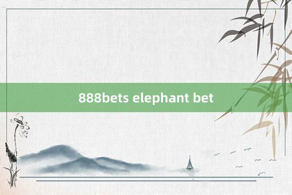 888bets elephant bet