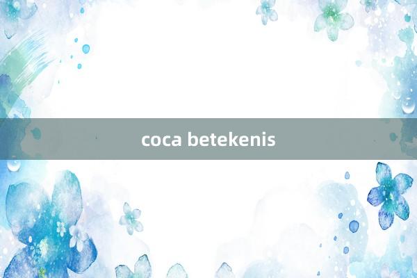 coca betekenis