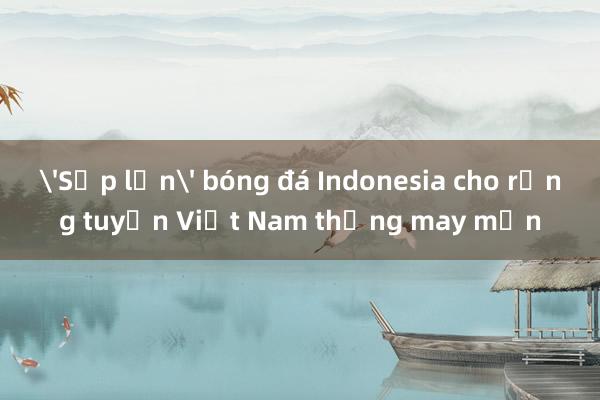 'Sếp lớn' bóng đá Indonesia cho rằng tuyển Việt Nam thắng may mắn