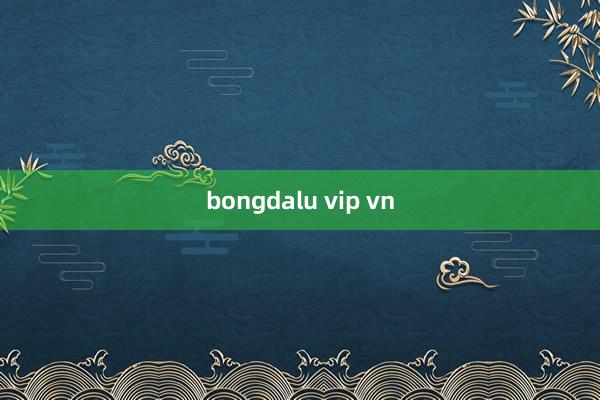 bongdalu vip vn