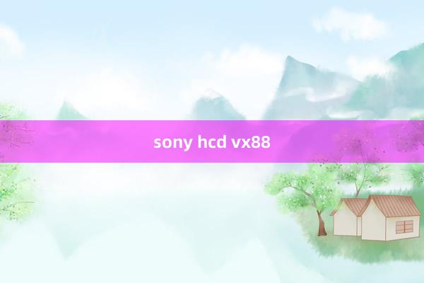 sony hcd vx88